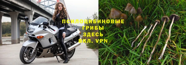 марихуана Абаза