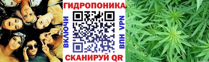 Конопля планчик  Абакан 